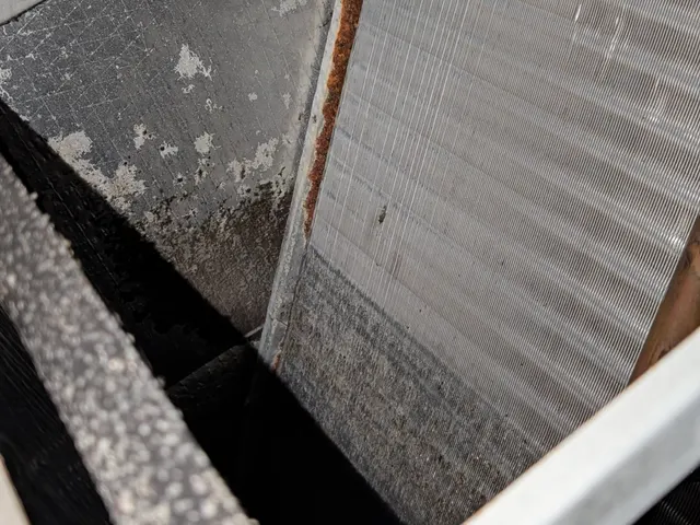 Rust along the coil edge and heavy grime on the evaporator fins in the old air handler, Memphis Indiana inspection